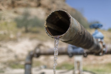 Grüner Vorstoß: Steiermark soll Zisternen für Regenwasser bauen