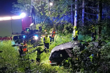 Im Wald gelandet: Auto kam von der Mariazeller Straße ab