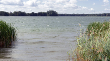 Badeunfall: Mann fällt vom SUP-Board und ertrinkt im Wandlitzsee