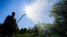 Sommerhitze: Stadt und Landkreis Osnabrück rufen zum Wassersparen auf
