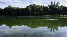Algen-Wasser in renoviertem Becken in Washington: Trump droht mit Haftstrafen