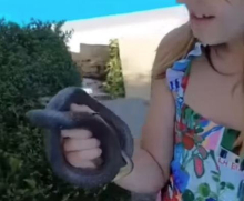Devojčica iz Vranja uzela zmiju golim rukama: Ono što joj je rekla pred puštanje kida srce, zbog ovih reči Srbija plače! (VIDEO)