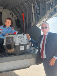 FELIKS SE VRATIO KUĆI! Preživeo otmicu i švercere, a sada stigao vojnim avionom: Orao krstaš, posle dramatične međunarodne akcije, ponovo u Srbiji! (FOTO)