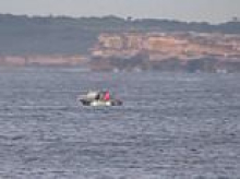 Shark alarm sounds at Bondi Beach after SECOND sighting in as many days - and more than a week after a mother was attacked at nearby swimming spot