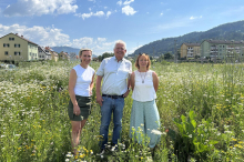 Artenvielfalt und Co.: Darum sind Wildblumenwiesen wie jene in Niklasdorf so wichtig