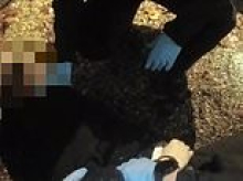 Police took EIGHT minutes to discover Henry Nowak's stab wound: Unedited transcript reveals moment officers realised murdered student was not breathing after he was handcuffed