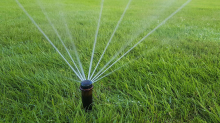 Gültig ab Juni: Bewässerungsverbote bei Hitze – das sollten Gartenbesitzer jetzt wissen