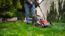 Garten: So hoch sollte Rasen sein, um die Sommerhitze gut zu überstehen