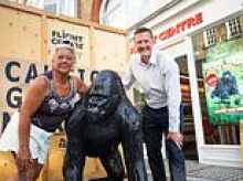 Gorilla's in our midst! Londoners welcome Caesar the ape after council killjoys said Wakefield woman couldn't keep it on her home