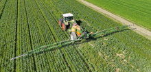 Bayer gewinnt Glyphosat-Streit in den USA vor Supreme Court