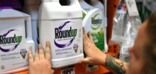 Glyphosat in Roundup: Wie das Supreme-Court-Urteil dem Bayer-Konzern und Donald Trump hilft