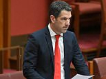 Health minister Mark Butler slams Senator Alex Antic's bird flu 'conspiracy theory' outburst: 'Remarkable even for him'