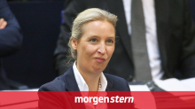 morgenstern: Wir sind doch einfach nur zu feige für einen AfD-Verbotsantrag