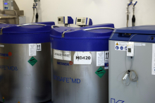 Dušika za vzdrževanje vzorcev propadle Biobanke je zmanjkalo