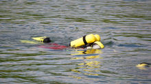 Feuerwehr-Einsatz: Jugendlicher fällt von Boot – Badesee für Suche gesperrt