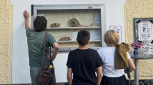 Ko sodobna umetnost oživi izložbene vitrine, nekoč pomembne gradnike mestne identitete