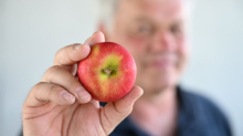 Der Apfel der Zukunft?: Das kann der neue Superapfel vom Bodensee