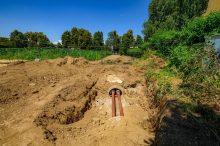 Neue Baustelle neben geschützten Bäumen sorgt für Rätselraten