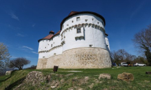 Tabor New Frame donosi svjetske premijere i najbolje kratkometražne filmove