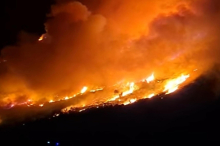 Waldbrand wütet auf beliebter Urlauberinsel in Kroatien