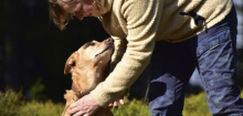 Haustiere: Mensch und Hund sind weltweit gute Freunde