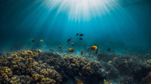 ZA SVE JE KRIV EL NIÑO Oceani nikad topliji, pali novi rekordi