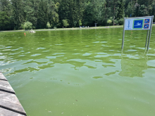 Previdno pri kopanju: zaradi vročinskega vala so se na nekaterih kopalnih vodah pojavile gošče