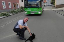 Busfahrer in Trofaiach bewies besonderes Herz für Tiere
