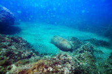 Bombe im Meer vor beliebtem Badeort an der Adria gefunden