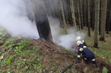 Aufmerksamer Passant verhinderte größeren Waldbrand in Salla