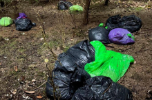 60 Stück : Wieder Müllsäcke mit Speiseresten in Kärntner Wald entsorgt 
