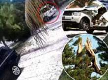 Freak accident sees lightning topple tree that then crashed down on top of Miami man's Range Rover, sending him to hospital