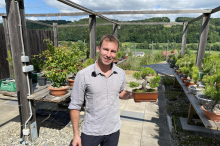 Stefan Aichholzer züchtet Bonsai in der Südoststeiermark 