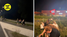 VIDEO Potpuni kaos nakon koncerta Thompsona: 'Ljudi su hodali po autocesti doma...'