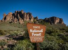 Arizona man arrested for living in garbage-filled campsite on grounds of national forest for nearly a decade