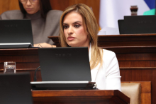 MESEČNA NOVČANA NAKNADA NIJE NAKNADA ZA LJUBAV, JER RODITELJSKA LJUBAV NEMA CENU Đurđević Stamenkovski u Skupštini: Država prvi put preuzima deo te odgovornosti