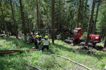 Großeinsatz der Einsatzkräfte: Harvester fing im Wald Feuer