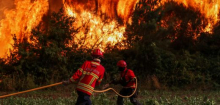 Waldbrände: In diesem Jahr wüteten fast 1000 Brände in Europa – doppelt so viele wie im Zeitraum zuvor