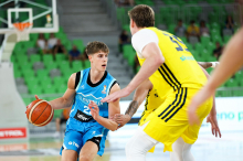 Larsson nasul 31 točk za zmago Švedov v Stožicah
