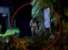 Naked man in a balaclava leapt out of bushes in Brisbane's Sunnybank Hills to 'aggressively' perform a vile sex act on himself