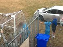 Fury as travellers use angle grinder to break into youth football team ground and set up 20 caravans - leaving pitches covered in dirty nappies