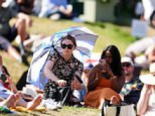 Blister plaster sales almost double as Wimbledon fans seek relief - alongside hay fever sufferers
