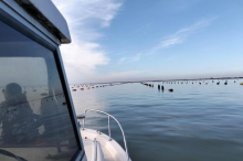 Mit dem Boot vom Fischerdorf am Meer zum Schloss Duino