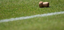 Wimbledon 2026: Beim Tennis-Small-Talk punkten? Dann sollten Sie das wissen
