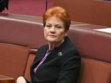 Pauline Hanson accuses Anthony Albanese of major double standard after landmark deal with India: 'It makes no sense'