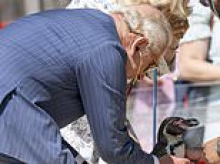 A tale of two houses: The royals put on a show while Harry visits hospital... but still no meeting between father and son