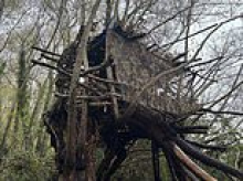 Killjoy council orders father to tear down the 'magical' treehouse he built with his autistic nine-year-old son