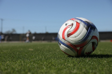 Želite delček SP-ja doma? Fifa prodaja koščke zelenice s finalne tekme.
