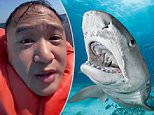 How to survive a shark attack, second by agonizing second: I punched its snout, but its jaws clamped tighter... it wasn't until I gouged the one weakness spot that it let go