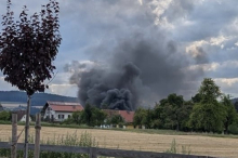 Pöllau: 60-Jähriger wollte Erdwespen ausräuchern und steckte Grundstück in Brand 